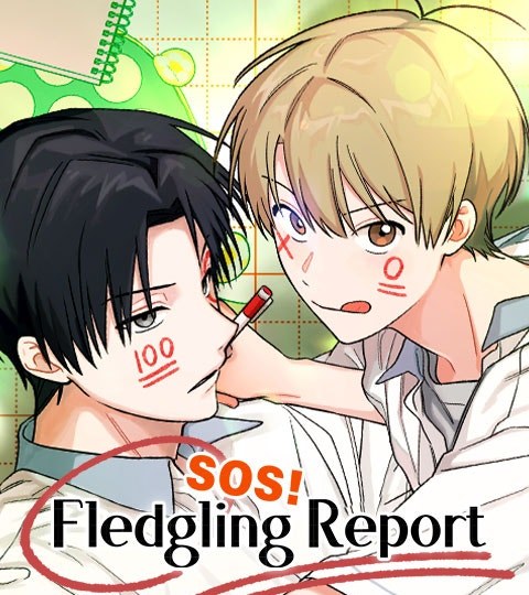 SOS! Fledgling Report封面